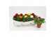 Ranunculus asiaticus sprinkles dwarf mix Ranunculus Sprinkles Mix1 pp 