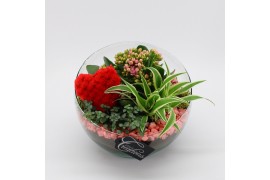 Arrangementen kalanchoe RMCR-2620RZ Romantic Essentials 3 pp