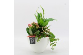 Arrangementen kamerplanten FDRM-2610RZ Romantic Fundamentals 3 pp