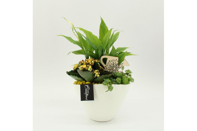 Arrangementen kamerplanten FDCR-2610G Basic Fundamentals 3 pp 