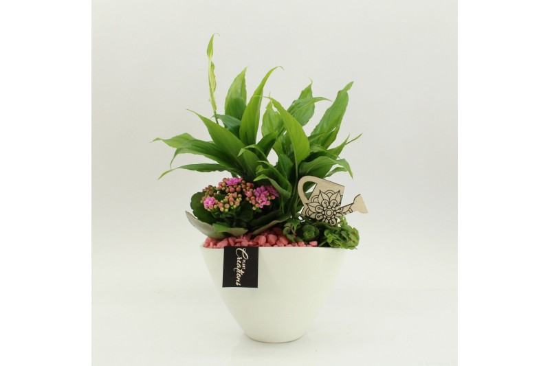 Arrangementen kamerplanten FDCR-2610RZ Basic Fundamentals 3 pp 