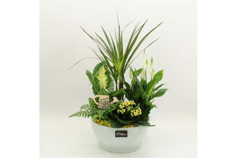 Arrangementen kamerplanten FDCR-2612G Basic Fundamentals 5 pp 