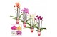 Phalaenopsis mix Phalaenopsis cascade 2 tak mix (Scenza)14 bl. 2 tak/p 
