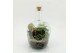 Arrangementen kamerplanten GRCR-2609 Green Essentials terrarium 3 pp 