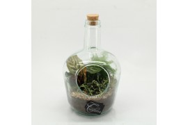 Arrangementen kamerplanten GRCR-2609 Green Essentials terrarium 3 pp