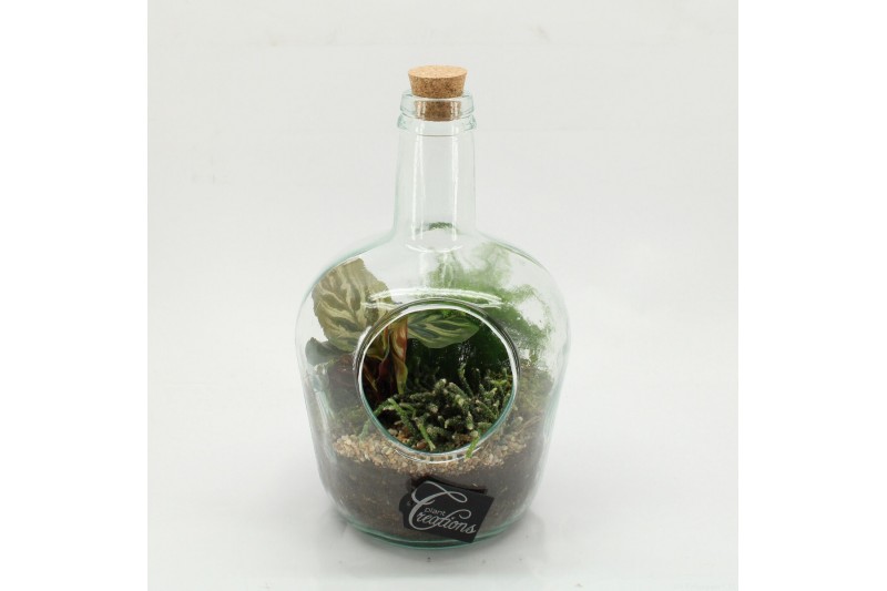 Arrangementen kamerplanten GRCR-2609 Green Essentials terrarium 3 pp 