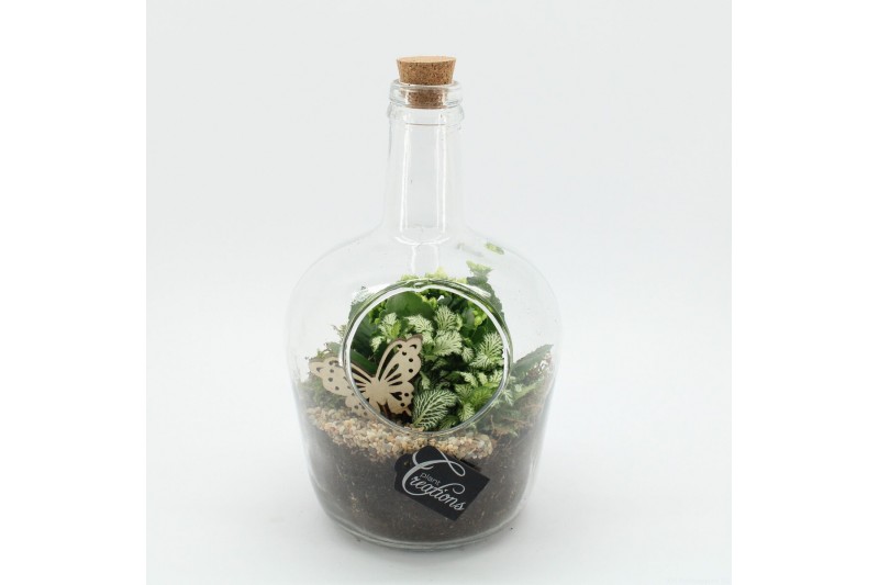 Arrangementen kamerplanten ESCR-2633W Essentials terrarium 2 pp 