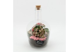 Arrangementen kamerplanten ESCR-2633RZ Essentials terrarium 2 pp