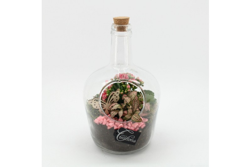 Arrangementen kamerplanten ESCR-2633RZ Essentials terrarium 2 pp 