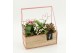Arrangementen kalanchoe RMCR-2627RZ Romantic Essentials 3 pp 
