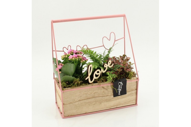 Arrangementen kalanchoe RMCR-2627RZ Romantic Essentials 3 pp 