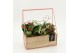 Arrangementen kalanchoe RMCR-2627R Romantic Essentials 3 pp 