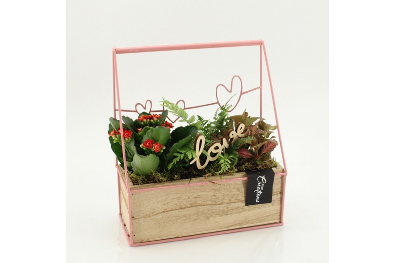 Arrangementen kalanchoe RMCR-2627R Romantic Essentials 3 pp 