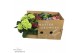Hydrangea macr. mix Mix 3+ - ECO 