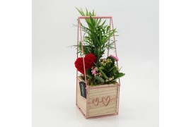 Arrangementen kalanchoe RMCR-2626RZ Romantic Essentials 2 pp