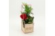 Arrangementen kalanchoe RMCR-2626R Romantic Essentials 2 pp 