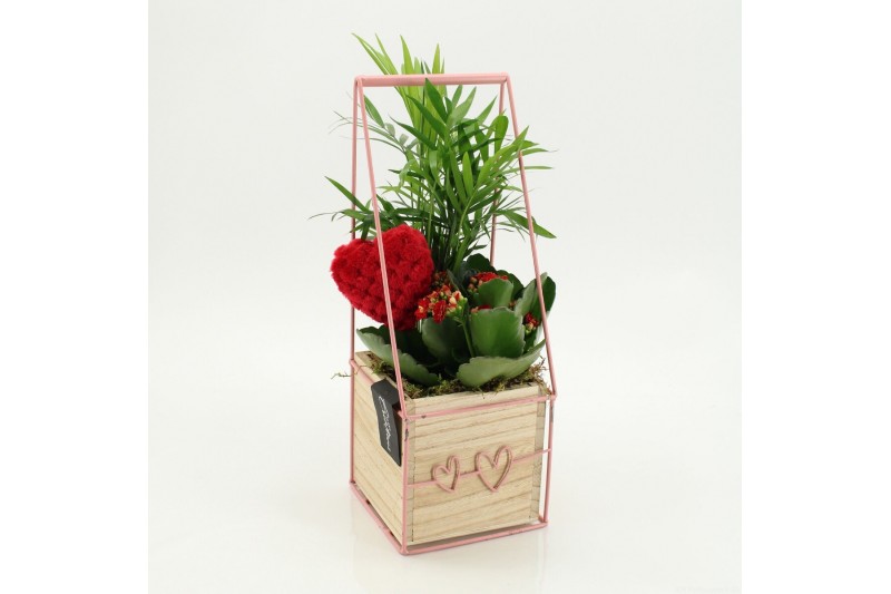 Arrangementen kalanchoe RMCR-2626R Romantic Essentials 2 pp 
