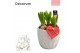 Arrangementen hyacinthus Hyacint Natural Colour HL18464WP [TENDER] 3 p 