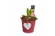 Arrangementen hyacinthus Hyacint Lovely Bucket HL10564WP [TENDER] 1 pp 