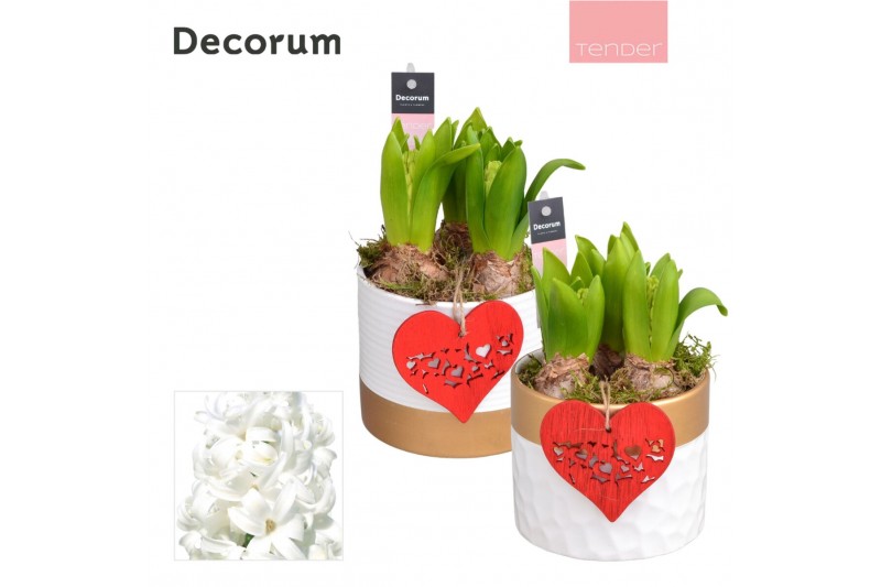 Arrangementen hyacinthus Hyacint Wit Goud Keramiek HL13224WP [TENDER]  
