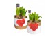 Arrangementen hyacinthus Hyacint Wit Goud Keramiek HL13224WP [TENDER]  