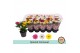 Chrysanthemum ind. mix Chrysant Carnaval3 pp 
