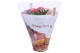 Kalanchoe rosalina roze royale Royale Nando roze 