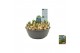 Muscari big smile Muscari Big Smile pot vol per pot 