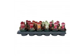 Tulipa mix Tulpen mix 4 soorten 3 per pot