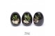 Arrangementen succulenten TRULY Crassula, Egg black1 pp 