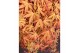 Acer palmatum Acer palm. Cascade Ruby C14 halfstam 