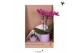Phalaenopsis Kolibri Gift Set small Optimism high mix2 pp 2 tak/plnt 1 