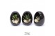 Arrangementen succulenten TRULY Succulent, Egg Black1 pp 