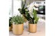 Keramische pot Kolibri Home Simplicity pot gold 