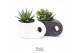 Succulenten TRULY succulent, Penguin pot1 pp 