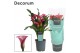 Zantedeschia zazu Zantedeschia (Calla) Roze (Decorum)4 bl. 