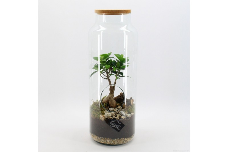 Arrangementen kamerplanten GRCR-2612 Green Essentials terrarium 1 pp 