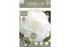 Camellia japonica Camellia jap. Nuccios Gem Premium25 bl. 