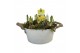 Arrangementen tete a tete Zink rond Tete-a-Tete 23 cm 8 pp 280 bl. pot 