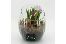 Arrangementen bol/knolgewas BLCR-2638 Bulbs creations 1 pp