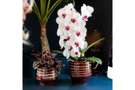 Keramische pot Kolibri Home Moonstone pot red