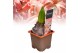 Hyacinthus gipsy queen orientalis Hyacint Gipsy Queen met etiket 30 bl 