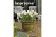 Narcissus double grp bridal crown Narcis Bridal Crown 3 per pot 