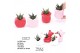 Succulenten TRULY Succulent, Love mix mini1 pp 